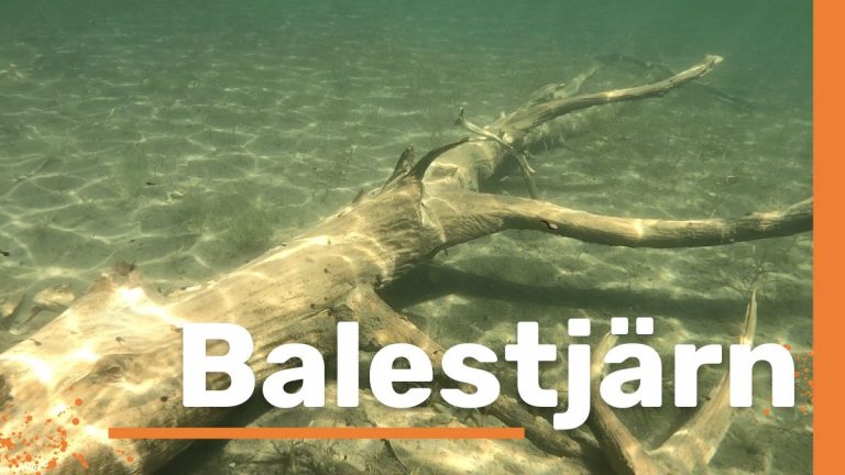 Balestjärn – turkusowe jezioro w sercu Höga Kusten